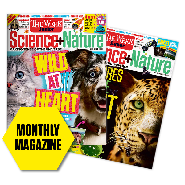Science and Nature cover